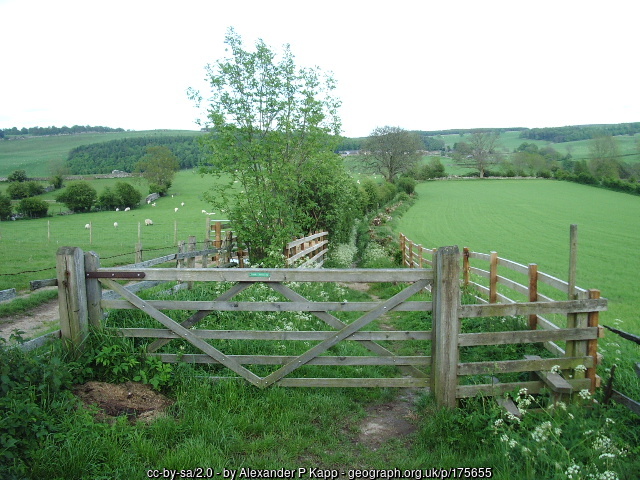 175655 48bce064 GhostViewer