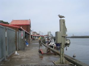 Fish Market – off Pier Road