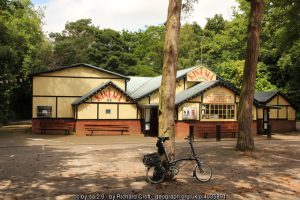Kinema in the Woods