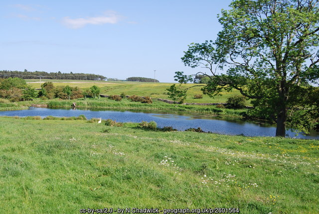 2601564 e6b2b799 GhostViewer