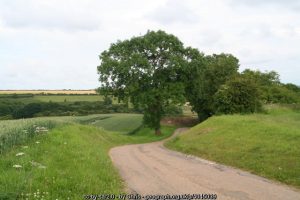 Disappearing road to Sutterby