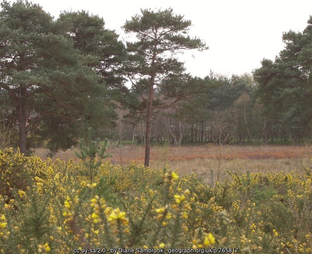 765817 450f7b18 GhostViewer