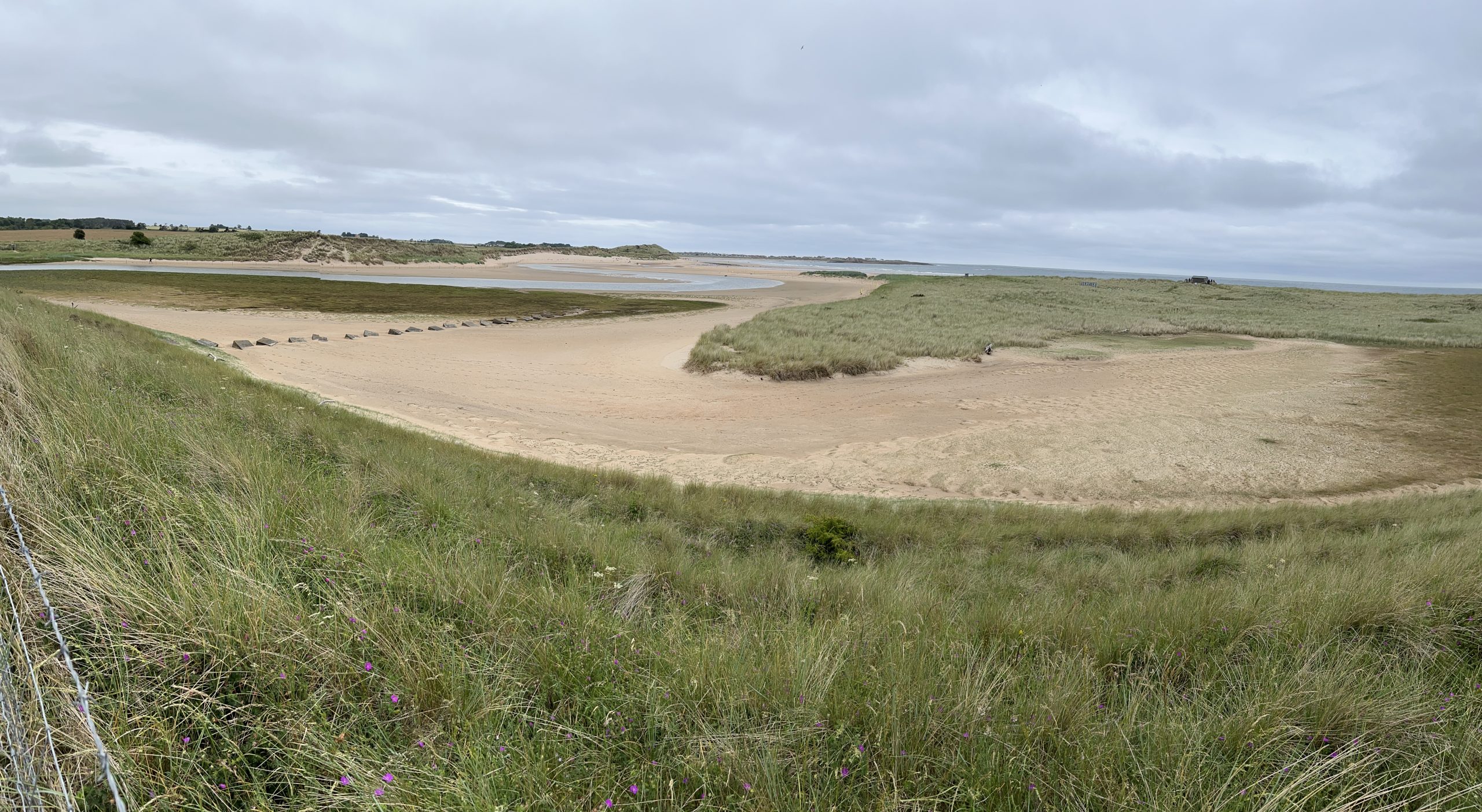 ff 19f89884efb6780d34a91c6b730a22f2 ff IMG 5703 scaled GhostViewer