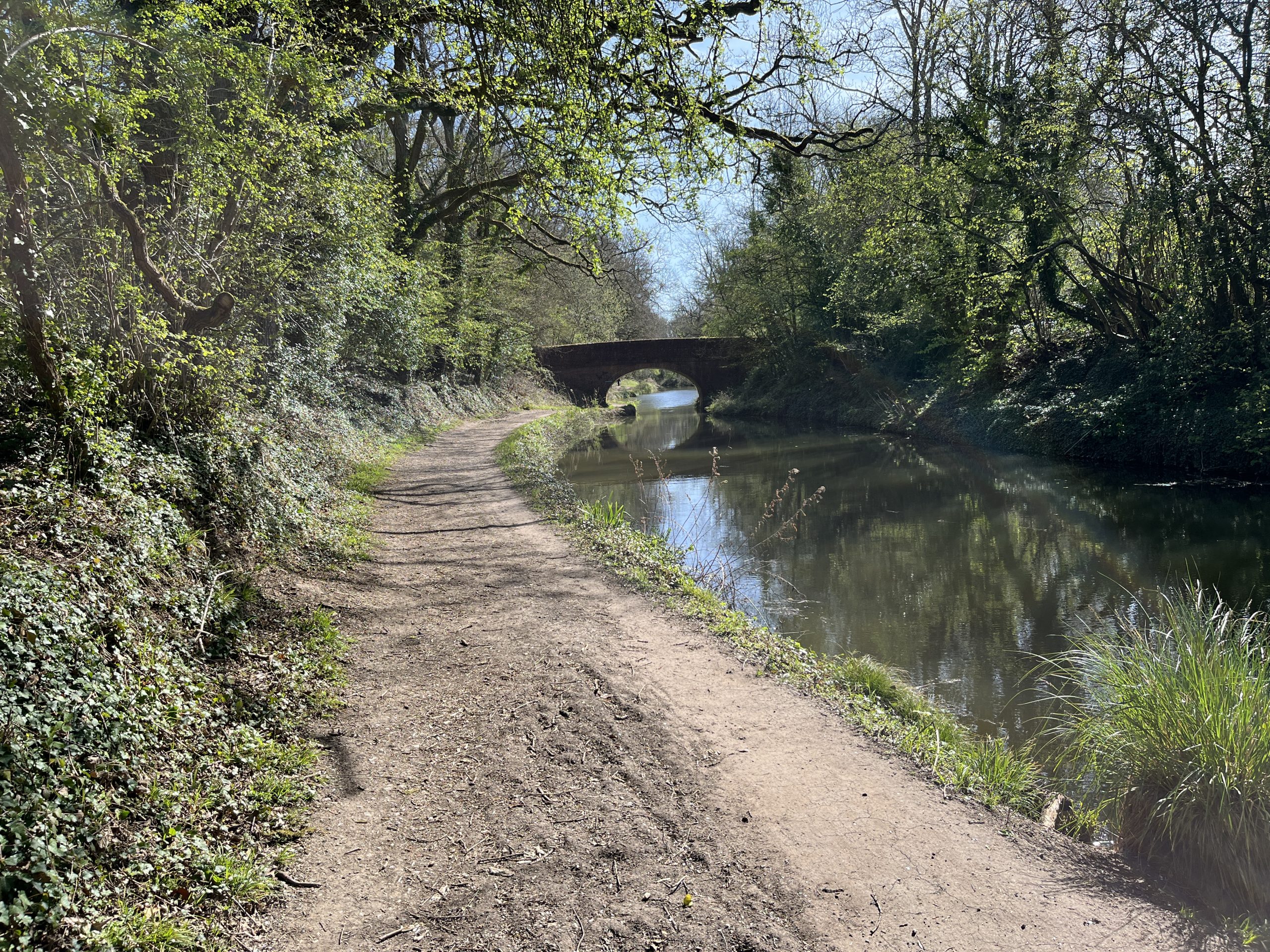 ff 60b86db47af095c3511186d786d4ea6c ff IMG 6280 scaled GhostViewer