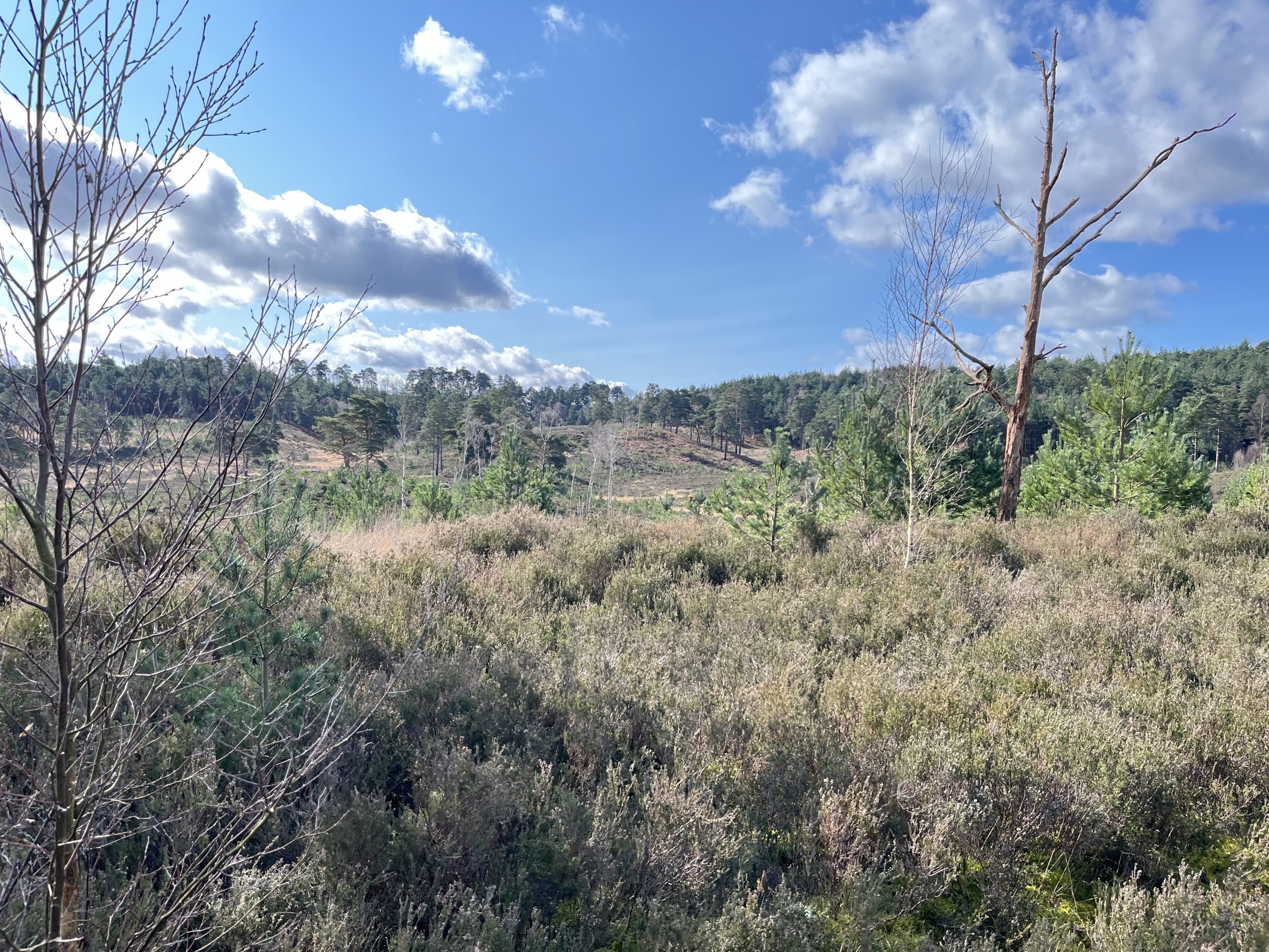 ff d23abf243b8150ece8fb247f80494ae2 ff IMG 6217 scaled GhostViewer